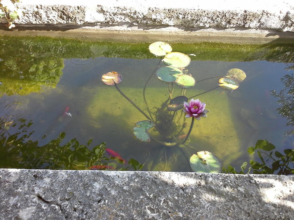 Vila Poggio Mario Saturnia Exteriér fotografie