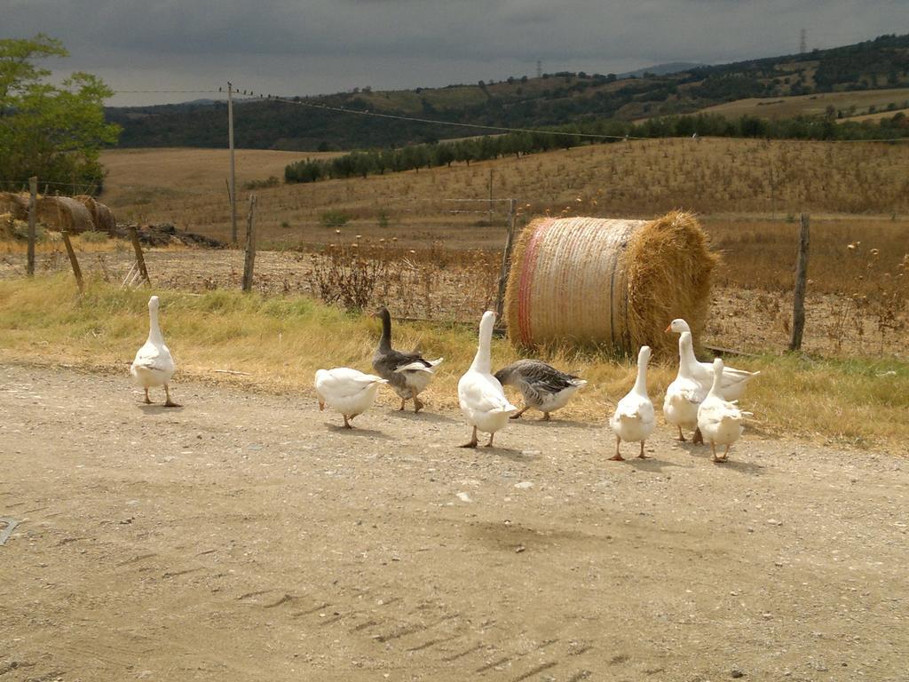 Vila Poggio Mario Saturnia Exteriér fotografie